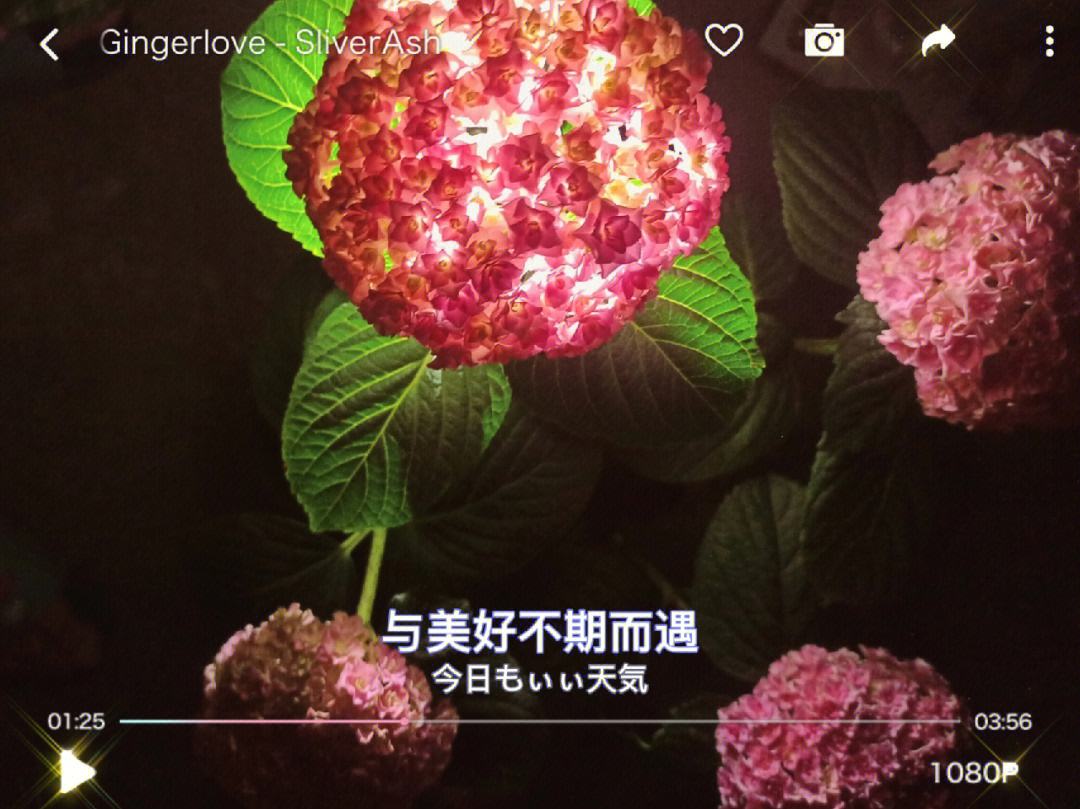 逆转之夜！太阳最后时刻连续得分取胜，一次注册经验.的简单介绍